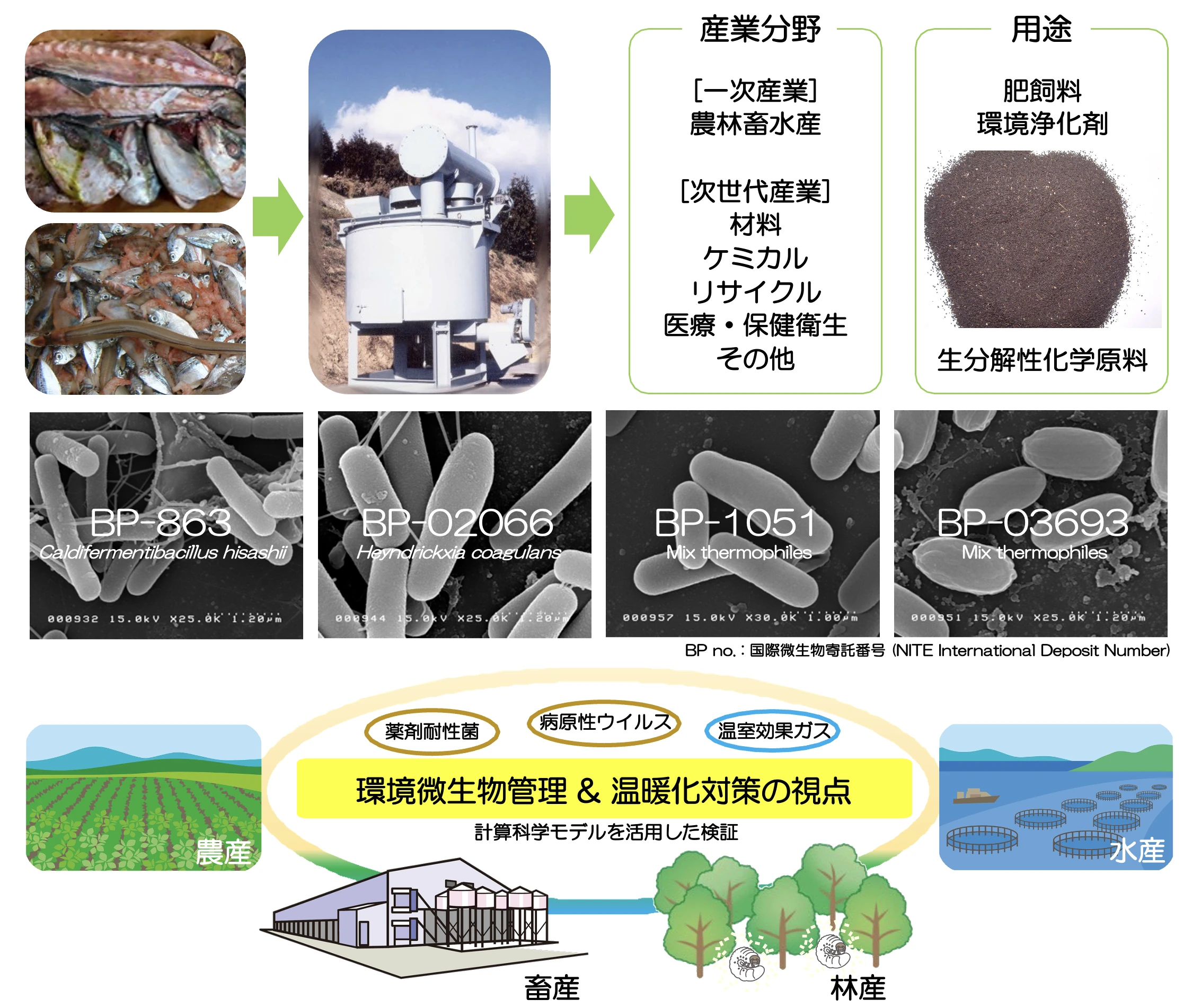 技術の全体像:海産物・植物性の残渣を高温発酵リサイクル発酵槽で発酵させ、多様な産業分野・用途へ展開。国際寄託微生物群(BP-863ほか)を基盤に、環境微生物管理と温暖化対策の視点で農産・水産・畜産・林産の循環を支える