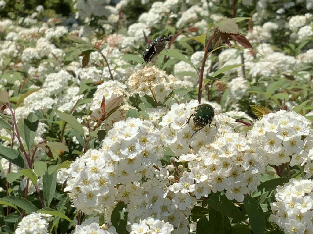 おすすめ